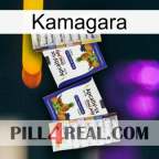 Kamagara 12